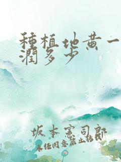 种植地黄一亩利润多少