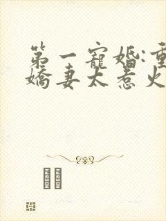 第一宠婚:重生娇妻太惹火