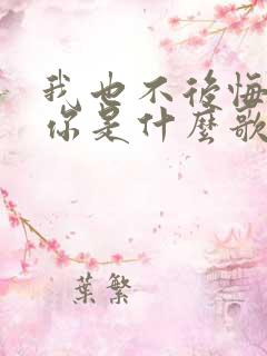 我也不后悔遇见你是什么歌
