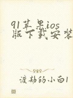 91苹果ios版下载安装
