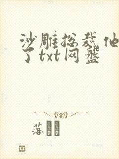 沙雕总裁他重生了txt网盘