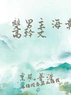 双男主 海棠 高干文