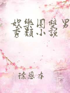 娱乐圈双男主选秀类小说