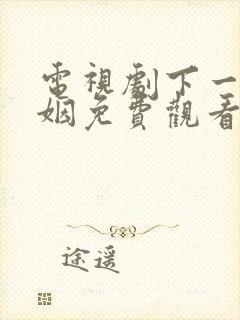 电视剧下一站婚姻免费观看第一集