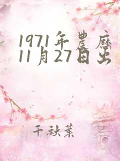 1971年农历11月27日出生八字