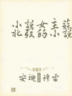 小说女主苏o顾北弦的小说