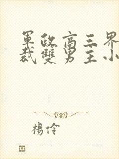 军政商三界的总裁双男主小说