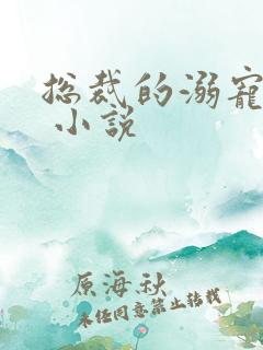 总裁的溺宠甜妻 小说