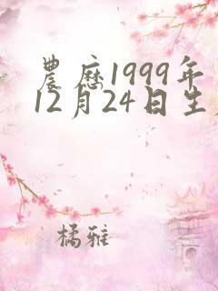 农历1999年12月24日生辰八字