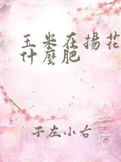 玉米在扬花期施什么肥