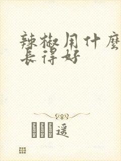 辣椒用什么肥料长得好