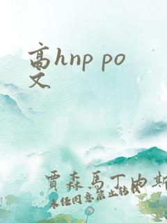 高hnp po文