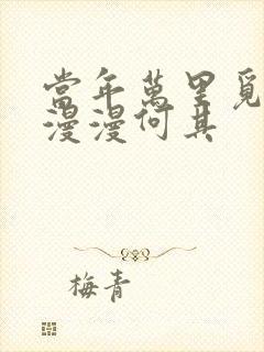 当年万里觅封侯漫漫何其