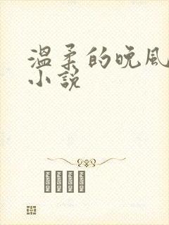 温柔的晚风老佟小说