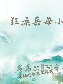 狂操岳母小说
