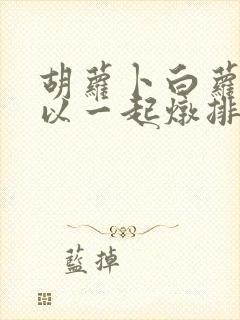 胡萝卜白萝卜可以一起炖排骨吗