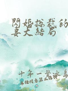 闪婚总裁的契约妻大结局