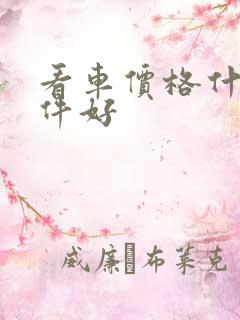 看车价格什么软件好