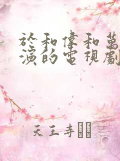 于和伟和万茜主演的电视剧