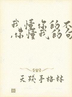 我懂你的不容易,你懂我的句子