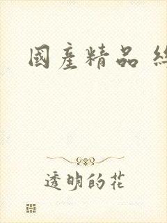 国产精品 丝袜