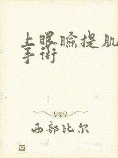 上眼睑提肌无力手术