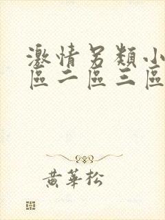 激情另类小说一区二区三区