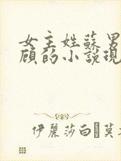 女主姓苏男主姓顾的小说现代言情