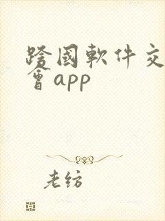 跨国软件交友约会app 跨国软件交友约会app
