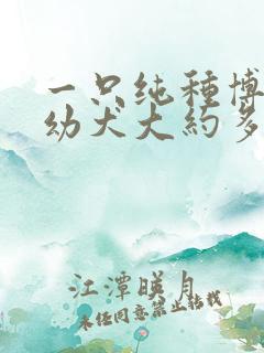 一只纯种博美狗幼犬大约多少钱
