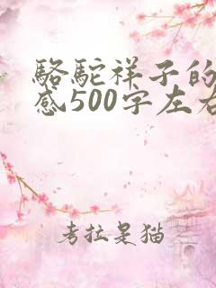骆驼祥子的读后感500字左右