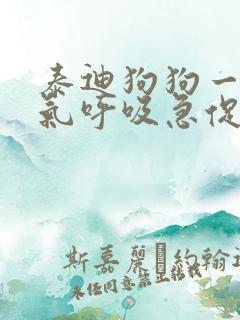 泰迪狗狗一直喘气呼吸急促