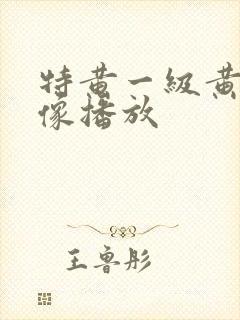 特黄一级黄色录像播放