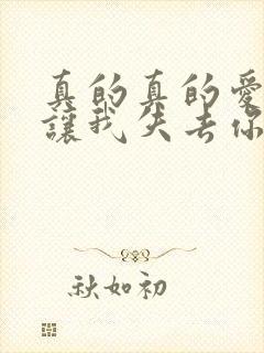 真的真的爱你别让我失去你是什么歌