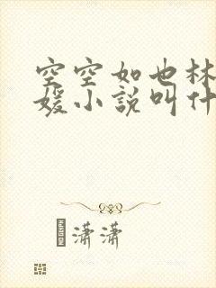 空空如也林正唐媛小说叫什么名字