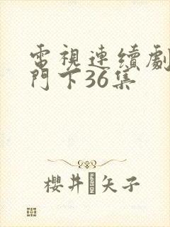 电视连续剧正阳门下36集
