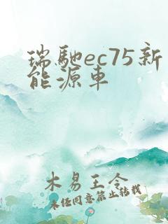 瑞驰ec75新能源车