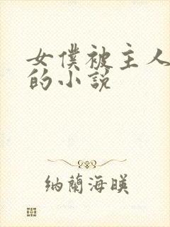 女仆被主人调教的小说