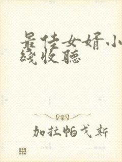 最佳女婿小说在线收听