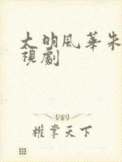 大明风华朱棣电视剧