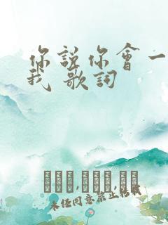 你说你会一直爱我 歌词