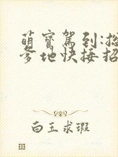 萌宝驾到:总裁爹地快接招