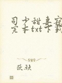 司少甜妻宠定了完本txt下载