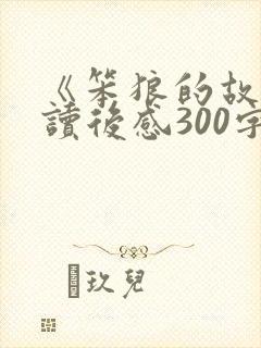 《笨狼的故事》读后感300字7
