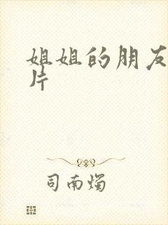 姐姐的朋友一级片
