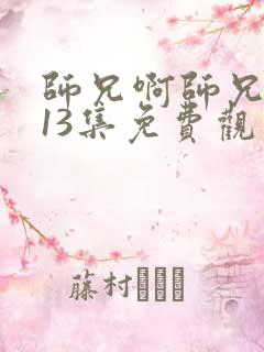 师兄啊师兄动漫13集免费观看
