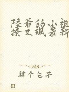 陆爷的小祖宗又撩又飒最新更新 陆爷的小祖宗又撩又飒最新更新