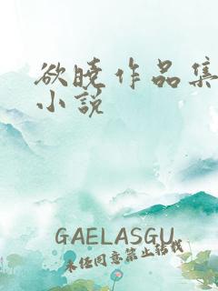 欲晓作品集全部小说
