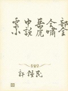 云中岳全部武侠小说虎啸金陵 云中岳全部武侠小说虎啸金陵