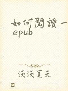 如何阅读一本书 epub